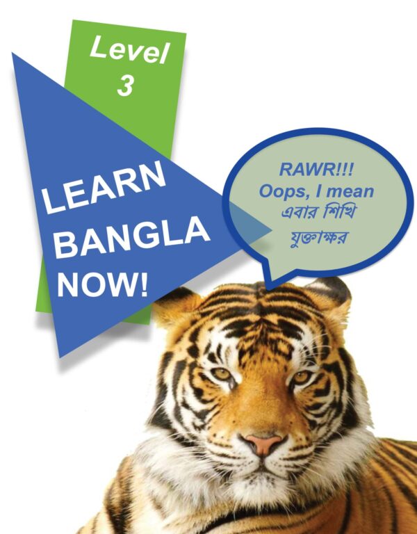 Learn Bangla Now (Level 3)